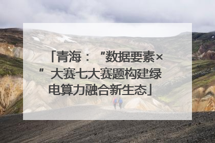青海：“数据要素×”大赛七大赛题构建绿电算力融合新生态