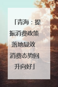 青海：提振消费政策落地显效 消费态势回升向好