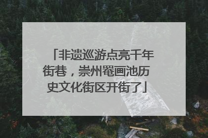 非遗巡游点亮千年街巷，崇州罨画池历史文化街区开街了