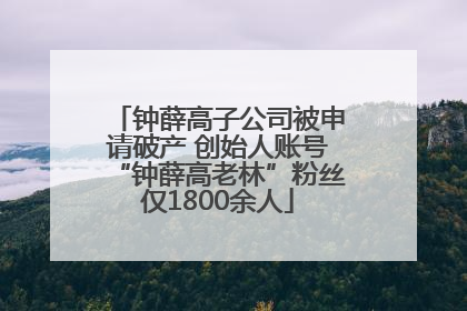 钟薛高子公司被申请破产 创始人账号“钟薛高老林”粉丝仅1800余人