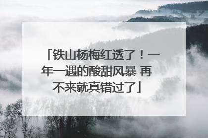 铁山杨梅红透了！一年一遇的酸甜风暴 再不来就真错过了