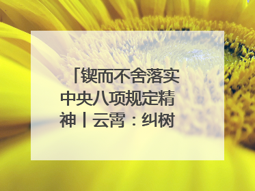 锲而不舍落实中央八项规定精神丨云霄：纠树并举扬正气 作风建设谱新章