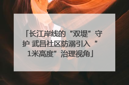 长江岸线的“双堤”守护 武昌社区防溺引入“1米高度”治理视角