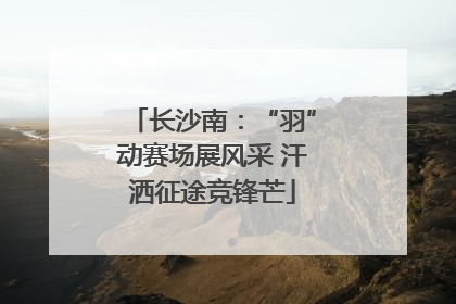 长沙南：“羽”动赛场展风采 汗洒征途竞锋芒