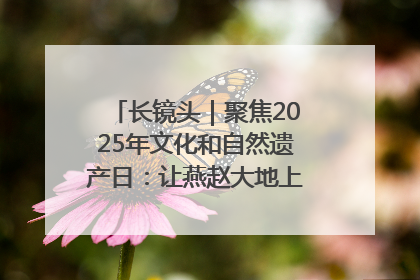 长镜头｜聚焦2025年文化和自然遗产日：让燕赵大地上的文物绽放新光彩