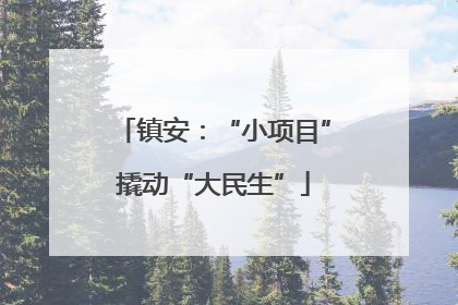 镇安：“小项目”撬动“大民生”