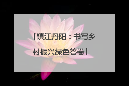 镇江丹阳：书写乡村振兴绿色答卷
