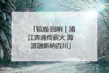 镜观·回响｜浦江奔涌传薪火 海派融新纳百川