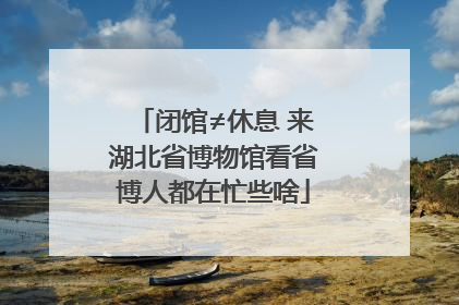 闭馆≠休息 来湖北省博物馆看省博人都在忙些啥