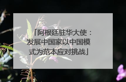 阿根廷驻华大使：发展中国家以中国模式为范本应对挑战