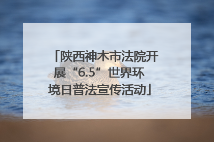 陕西神木市法院开展“6.5”世界环境日普法宣传活动