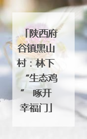 陕西府谷镇黑山村：林下“生态鸡” 啄开幸福门