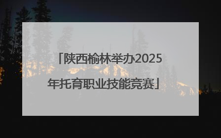 陕西榆林举办2025年托育职业技能竞赛