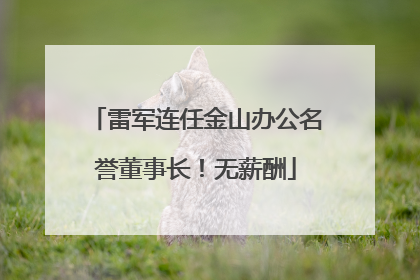 雷军连任金山办公名誉董事长！无薪酬