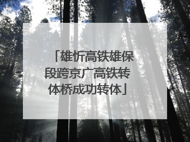 雄忻高铁雄保段跨京广高铁转体桥成功转体