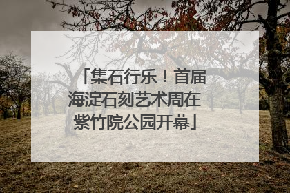 集石行乐！首届海淀石刻艺术周在紫竹院公园开幕