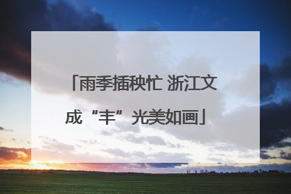 雨季插秧忙 浙江文成“丰”光美如画
