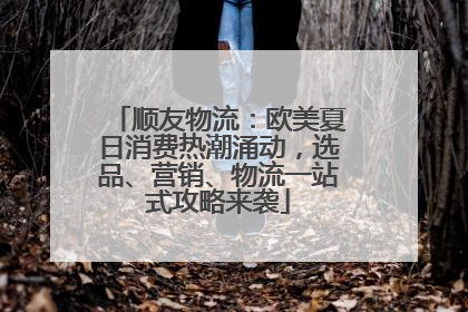 顺友物流：欧美夏日消费热潮涌动，选品、营销、物流一站式攻略来袭