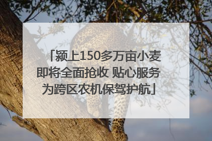 颍上150多万亩小麦即将全面抢收 贴心服务为跨区农机保驾护航