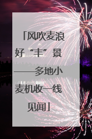 风吹麦浪好“丰”景——多地小麦机收一线见闻