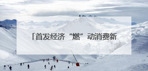 首发经济“燃”动消费新引擎 泰安市举办首店经济项目品牌入驻推进会