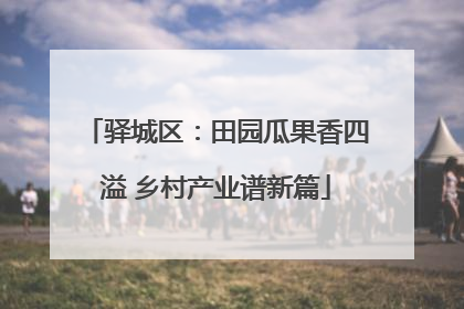 驿城区：田园瓜果香四溢 乡村产业谱新篇