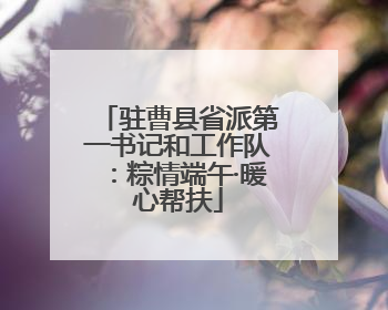 驻曹县省派第一书记和工作队：粽情端午·暖心帮扶