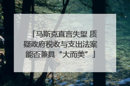 马斯克直言失望 质疑政府税收与支出法案能否兼具“大而美”