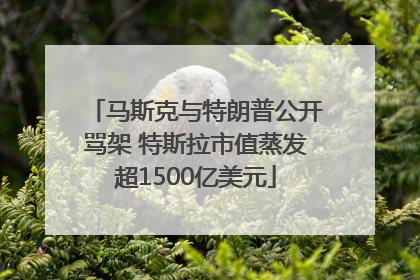 马斯克与特朗普公开骂架 特斯拉市值蒸发超1500亿美元