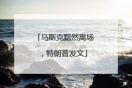 马斯克黯然离场，特朗普发文