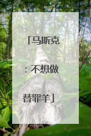 马斯克：不想做替罪羊