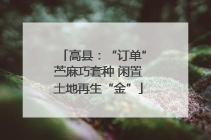 高县：“订单”苎麻巧套种 闲置土地再生“金”