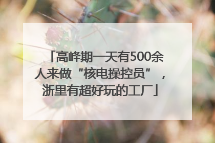 高峰期一天有500余人来做“核电操控员”，浙里有超好玩的工厂