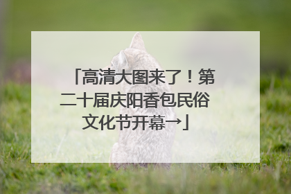 高清大图来了！第二十届庆阳香包民俗文化节开幕→
