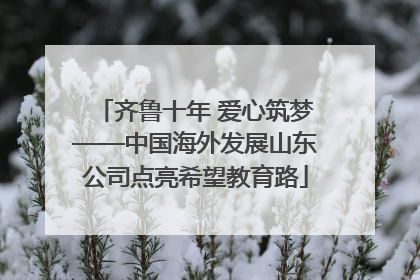 齐鲁十年 爱心筑梦——中国海外发展山东公司点亮希望教育路