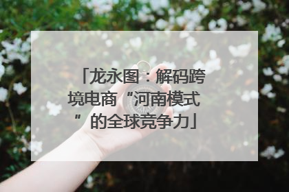 龙永图：解码跨境电商“河南模式”的全球竞争力