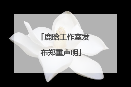 鹿晗工作室发布郑重声明