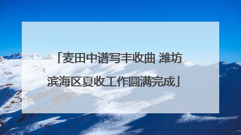 麦田中谱写丰收曲 潍坊滨海区夏收工作圆满完成