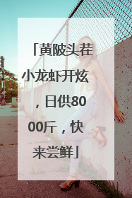 黄陂头茬小龙虾开炫，日供8000斤，快来尝鲜