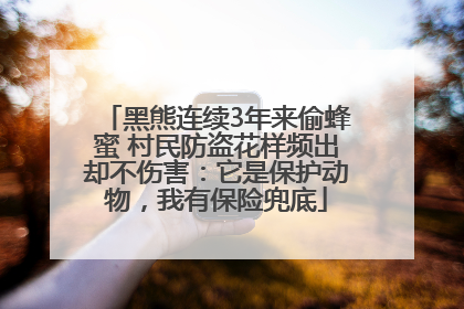 黑熊连续3年来偷蜂蜜 村民防盗花样频出却不伤害：它是保护动物，我有保险兜底