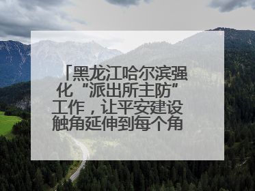 黑龙江哈尔滨强化“派出所主防”工作，让平安建设触角延伸到每个角落……