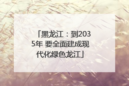 黑龙江：到2035年 要全面建成现代化绿色龙江