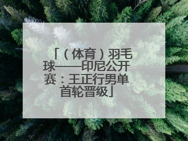 （体育）羽毛球——印尼公开赛：王正行男单首轮晋级