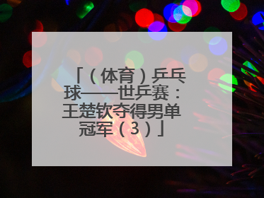 （体育）乒乓球——世乒赛：王楚钦夺得男单冠军（3）