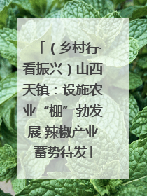 （乡村行·看振兴）山西天镇：设施农业“棚”勃发展 辣椒产业蓄势待发