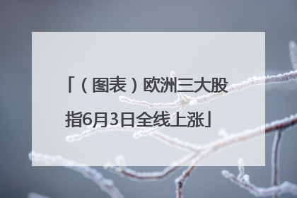 （图表）欧洲三大股指6月3日全线上涨