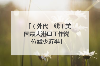 （外代一线）美国最大港口工作岗位减少近半