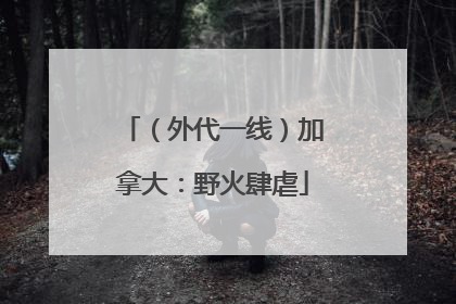 （外代一线）加拿大：野火肆虐