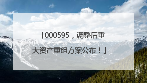 000595，调整后重大资产重组方案公布！