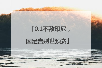 0:1不敌印尼，国足告别世预赛